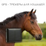 GPS Трекер для лошадей