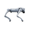 Робопес Unitree Robotics Go2 Edu