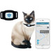 GPS трекеры для кошек